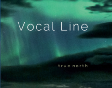 Klare Hörempfehlung True North von Vocal Line